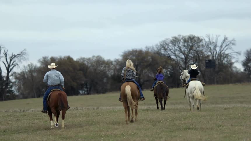 Several people riding their galloping horses through a field toward some trees