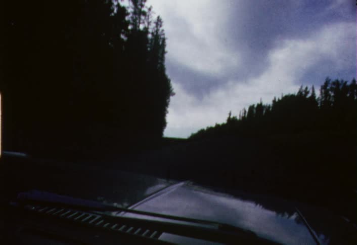 Moving view of a country road lined with trees on a cloudy day