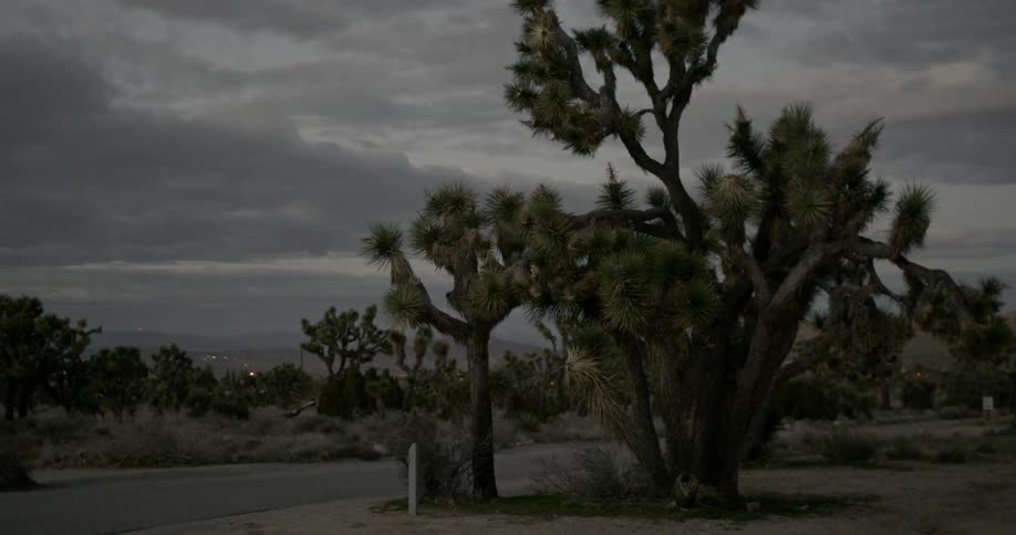 Car speeds down a desert road on a cloudy day