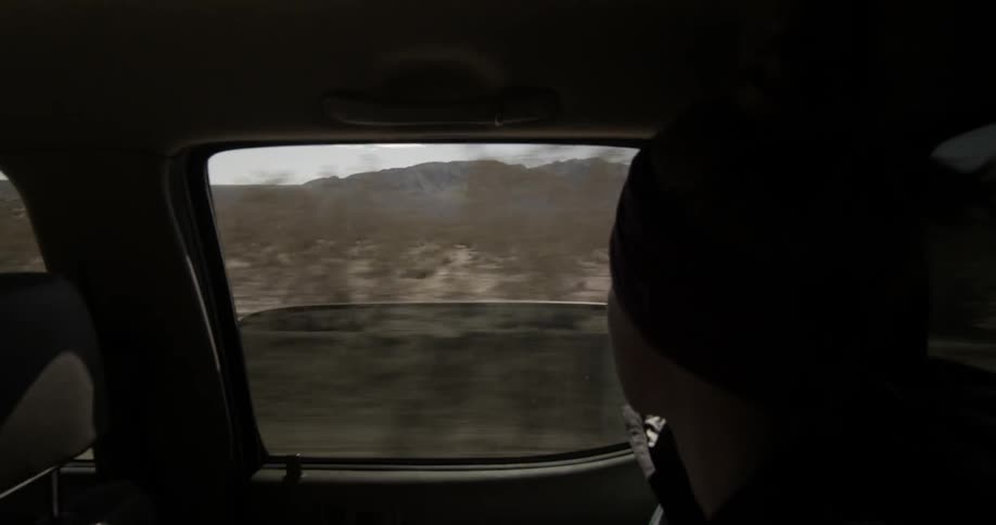 A passenger in the backseat looks out at the passing landscape