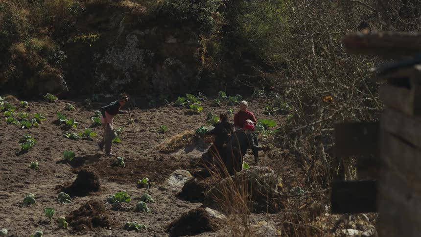 A group of five people using tools and hands to dig a hole in the ground for planting