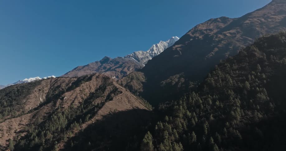 Mountain range with forests and peaks covered by snow on a cloudless blue sky day