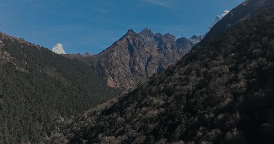 A forest covers the slope of a mountain