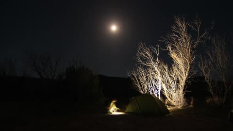 People take apart a tent and walk off at night