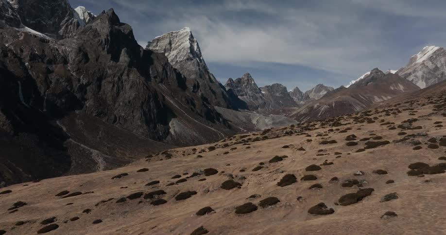 Landscape of a mountain soil with mosses and surrounding snowy cliffs