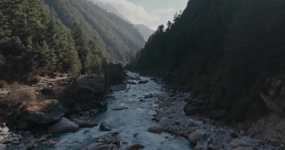 Landscape of a flowing river in the middle of mountains and forests