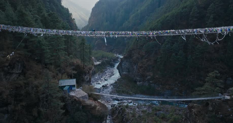A person walking on a suspension bridge in a forest gorge