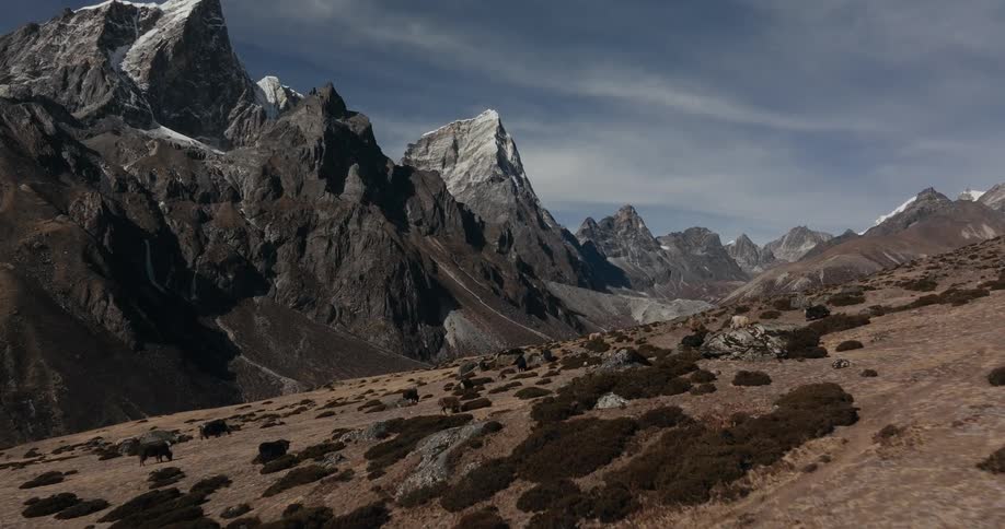 Aerial view of a mountain range with scattered trees on one side