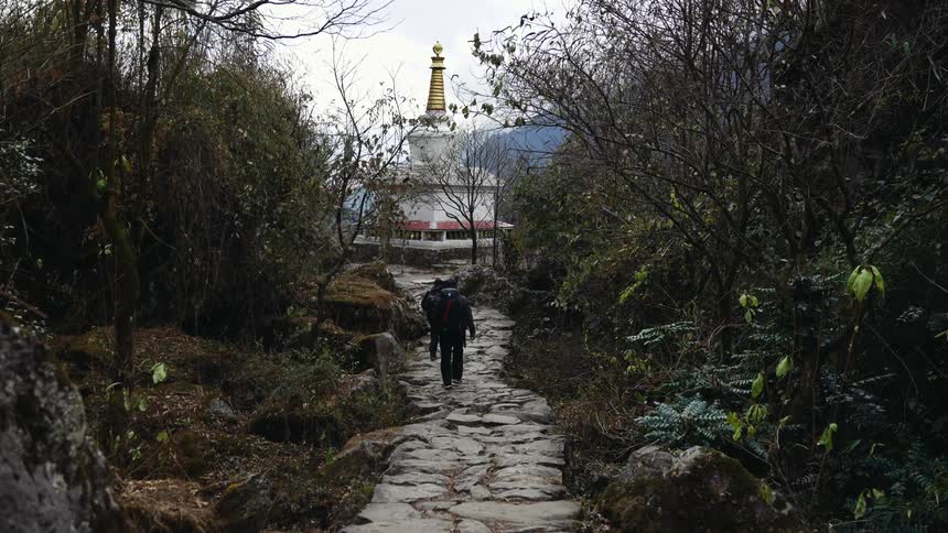 Tourists with backpacks walking on a stone path towards a white building with a golden spire