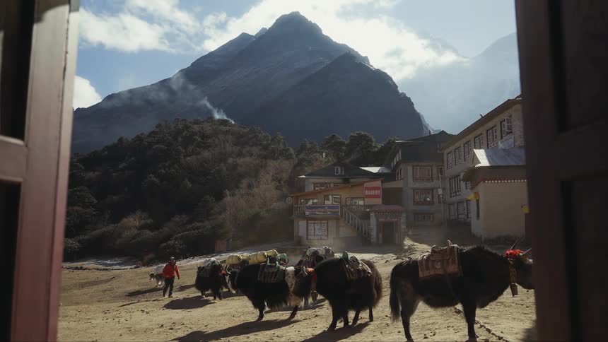 Buffaloes and donkeys loaded with supplies in a village in the middle of the mountains