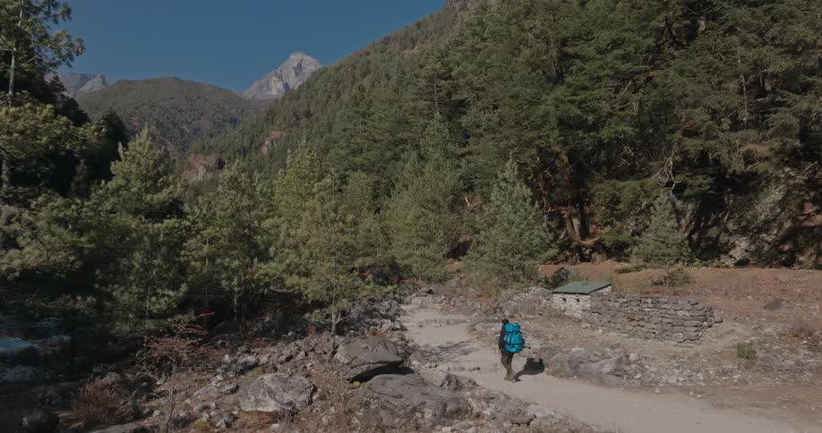 Person hiking on rocky ground in the middle of an openair forest
