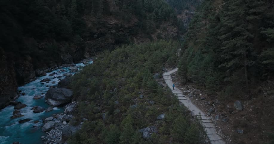 A man hiking on a trail outdoors in a forest