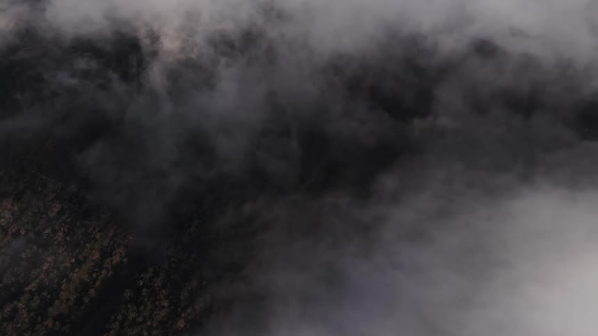 Aerial of a forest covered by clouds at dawn