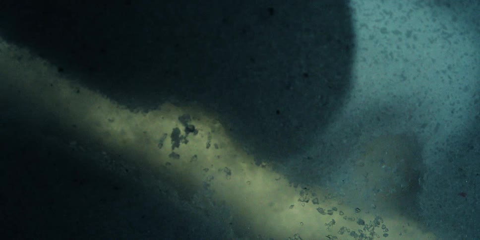 Ants move along a tunnel