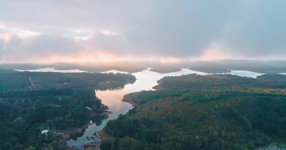 An aerial clip of a rain forest