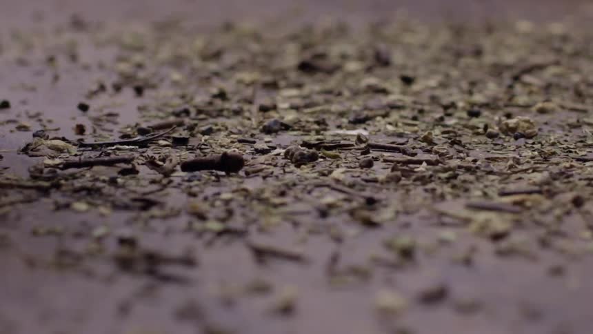 Organic matter shakes across vibrating surface outdoors
