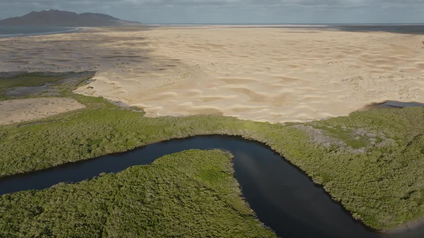 A curved river with lots of vegetation on the side and in the background a desert with a mountain on the horizon