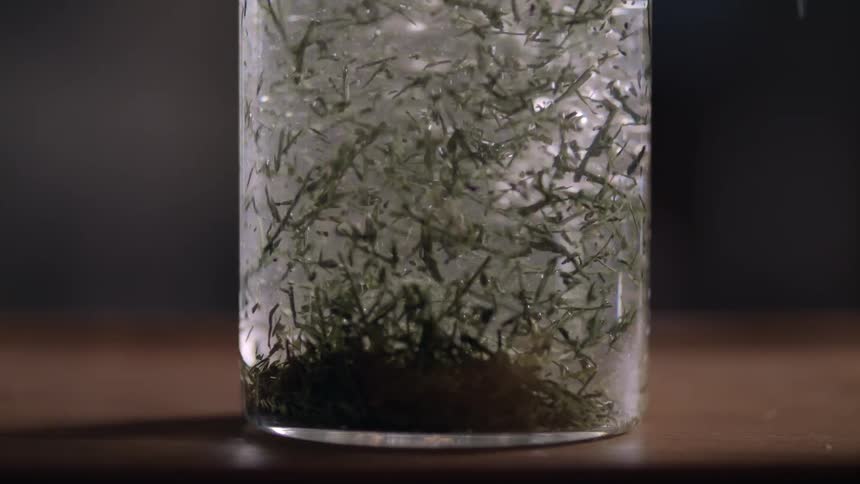 Closeup of a glass cup being filled with herbal water