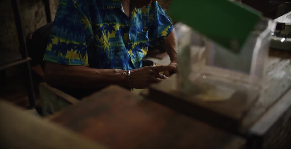 A man rolls a cigar by hand