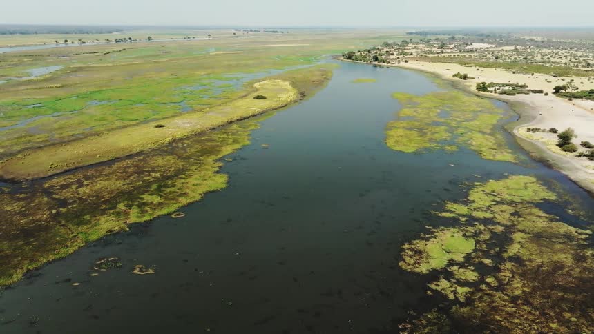 Aerial landscape of a jungle with a lake and mosses