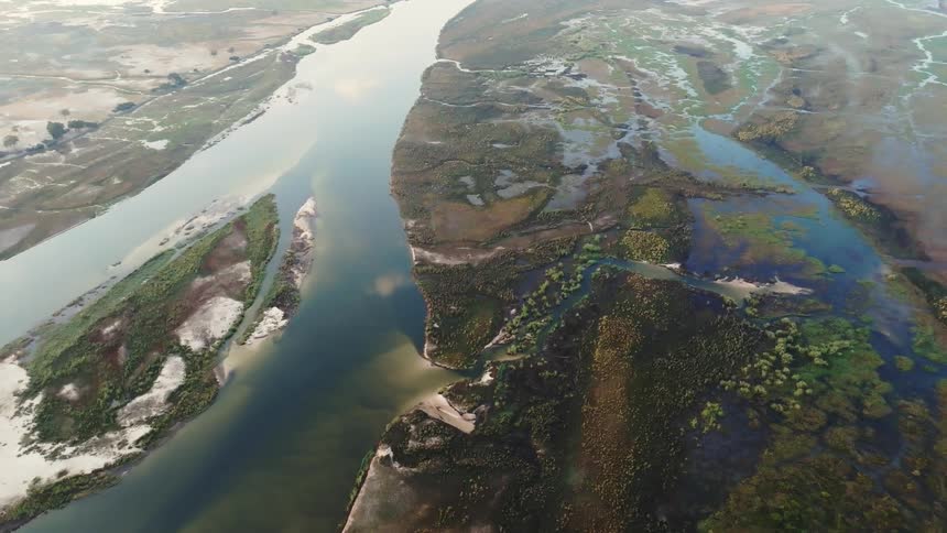 A river based ecosystem