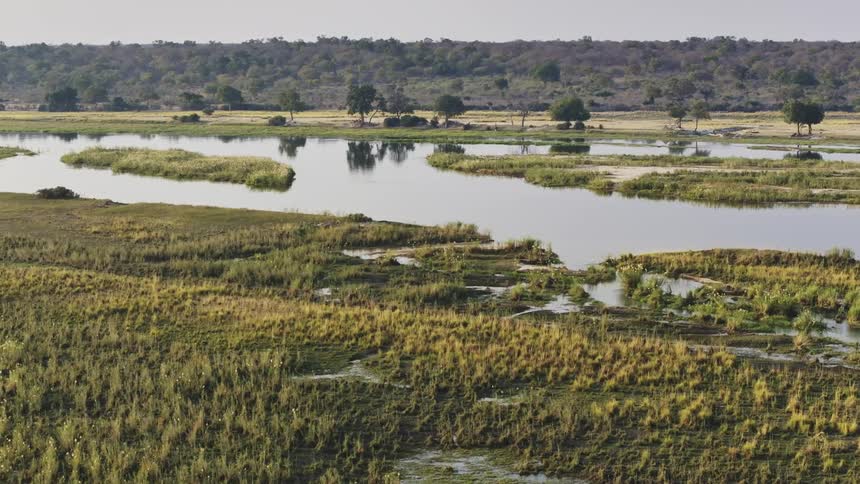Aerial of a swamp in the savannah on a sunny day