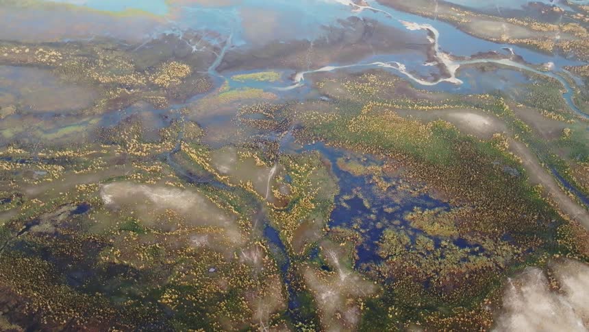 Swamps cover the ground below