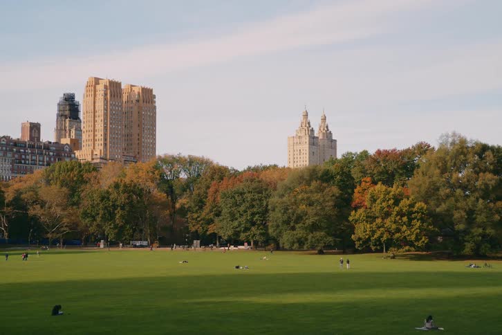 New yorks central park with a view of the buildings near it