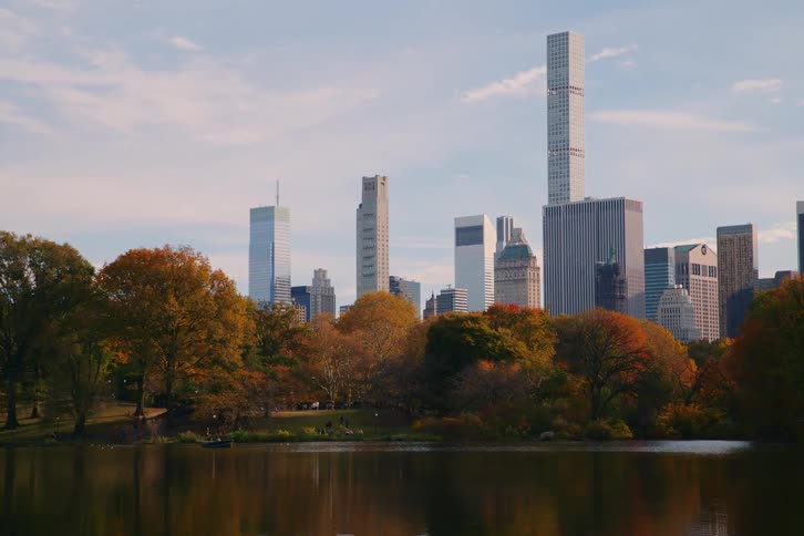 A view of some trees in central park looking over new york city