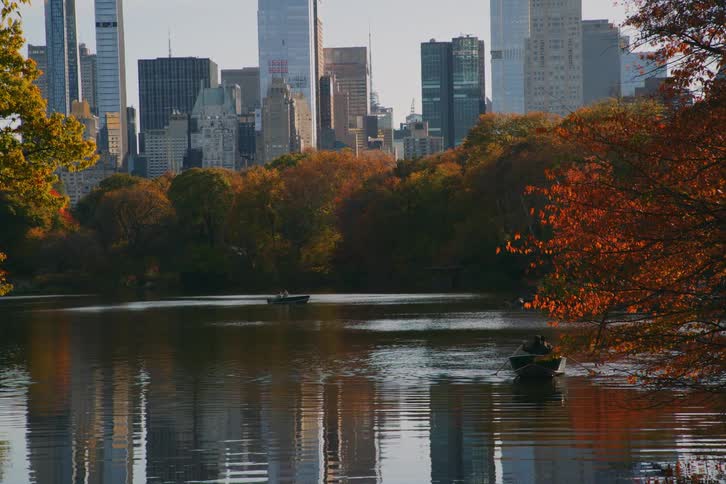 People are rowing boats on the still lake in central park