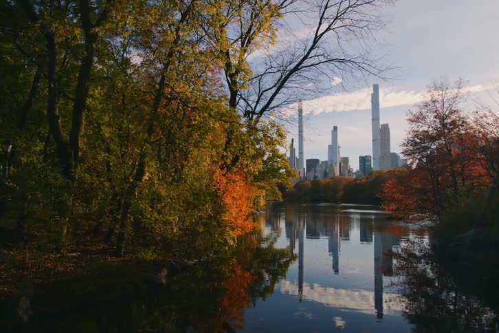 Landscape of a lake in the woods overlooking a metropolis with skyscrapers