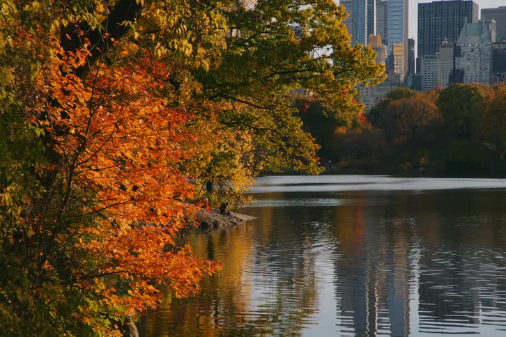 Landscape of a lake on the edge of a metropolis with a skyscraper