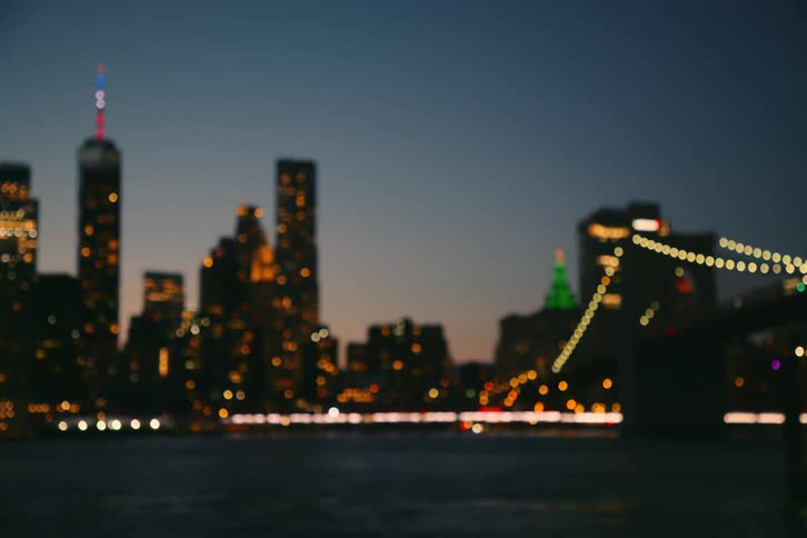 Panorama of a metropolis with skyscrapers at night and by the sea