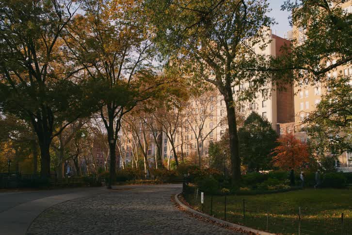Buildings are visible from central parks lush surroundings
