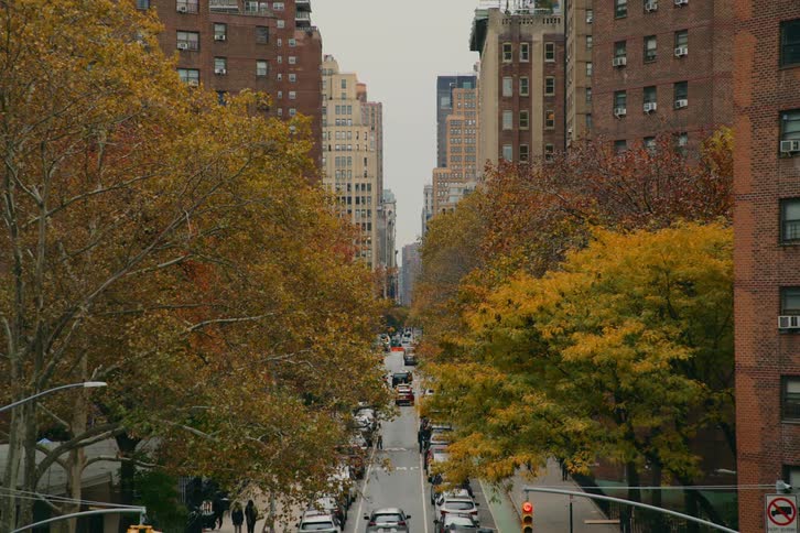 A city street with tall buildings lining the sides