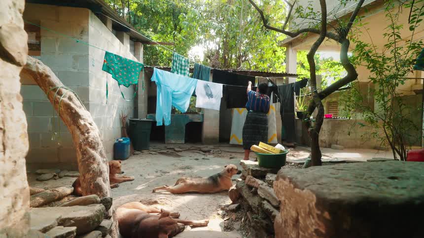 A woman hangs clothes while the dogs relax