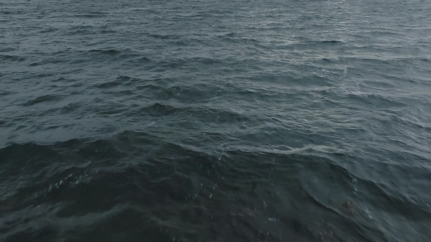 The ocean is rough during the day
