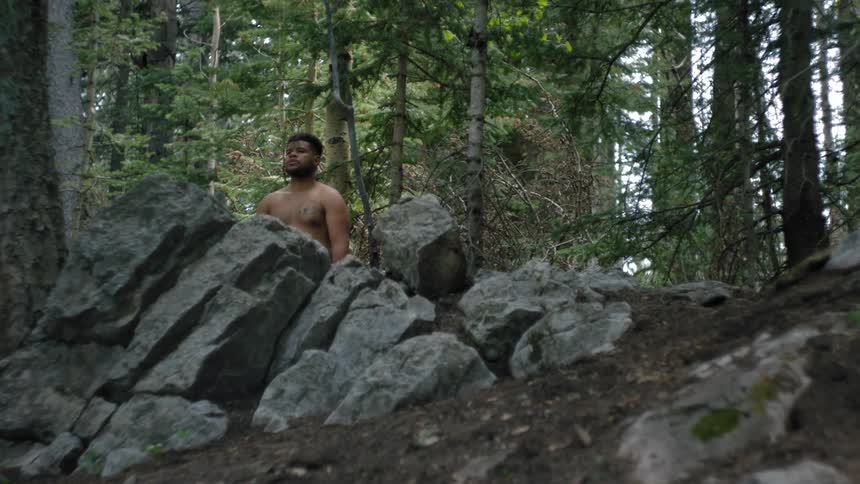 A shirtless man is standing behind rocks in a forest