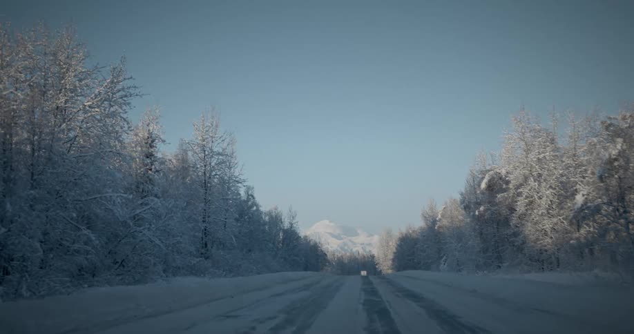 Road through a forest at winter in the morning