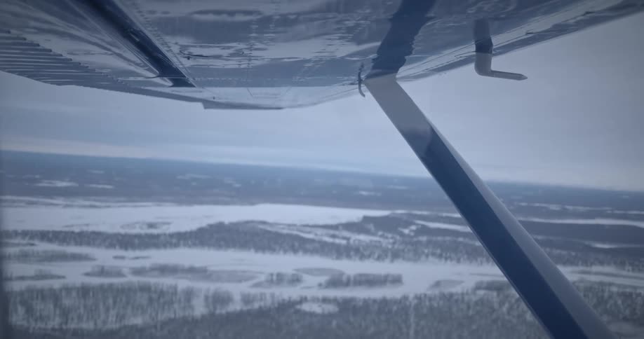 Aerial view from under an airplane over a snowcovered forest