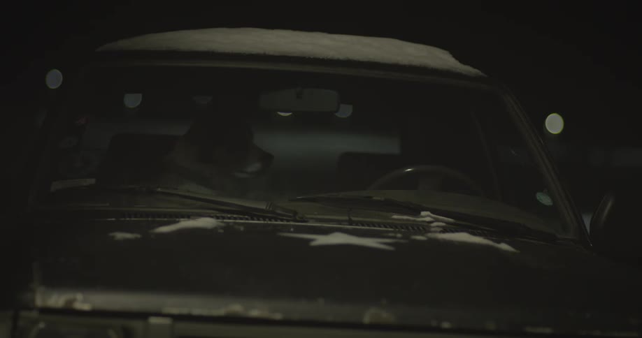 Dog sitting in a parked car in the dark night