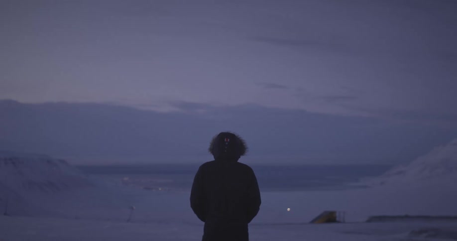 The back of a person looking at the horizon in an environment with a lot of snow on the ground