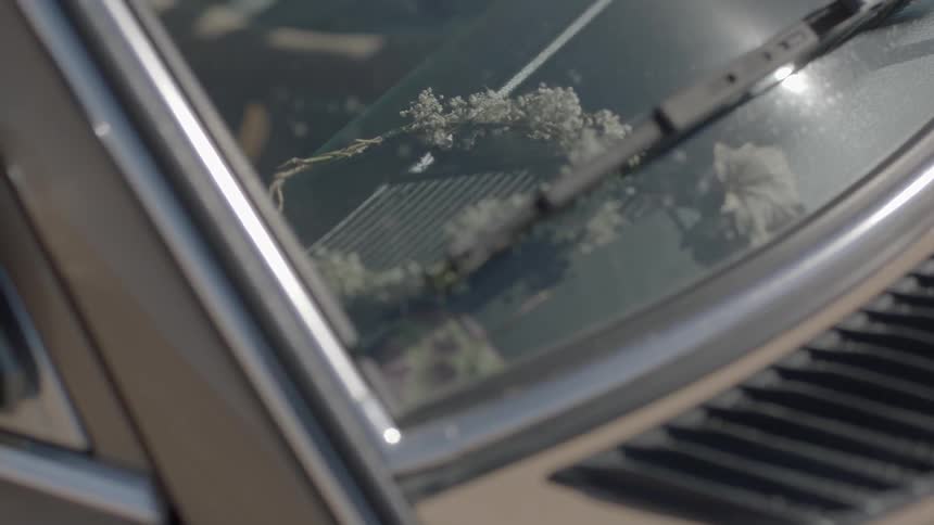A small head wreath is inside the car