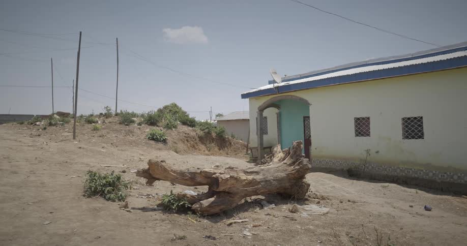 A fallen log in front of a house on a sunny day