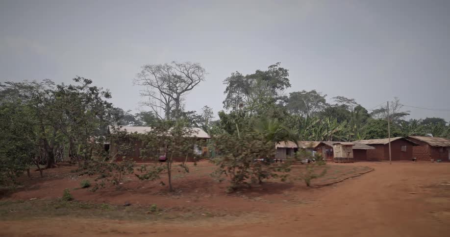 Slums on a third world tropical country