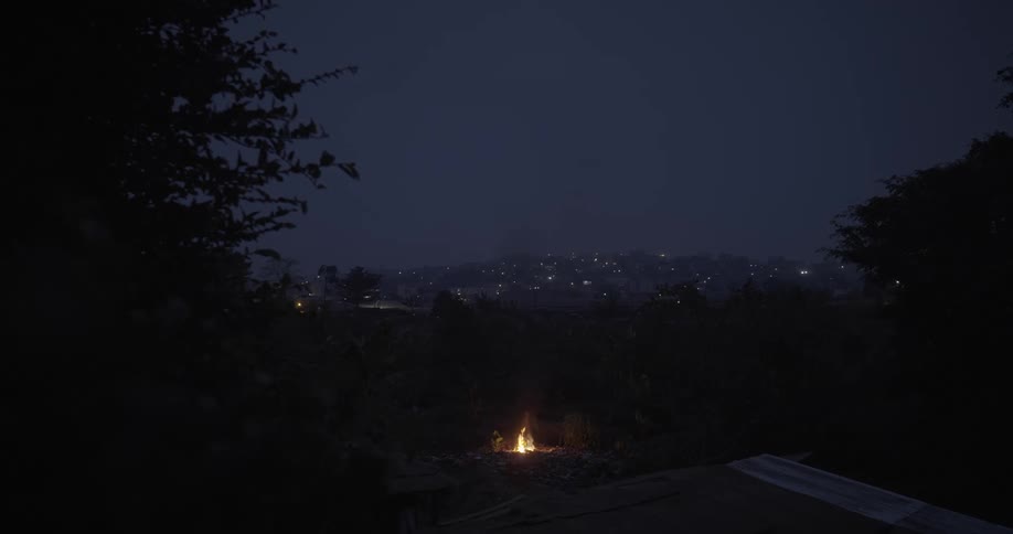Small campfire amid trees at night with a view of a city on the horizon
