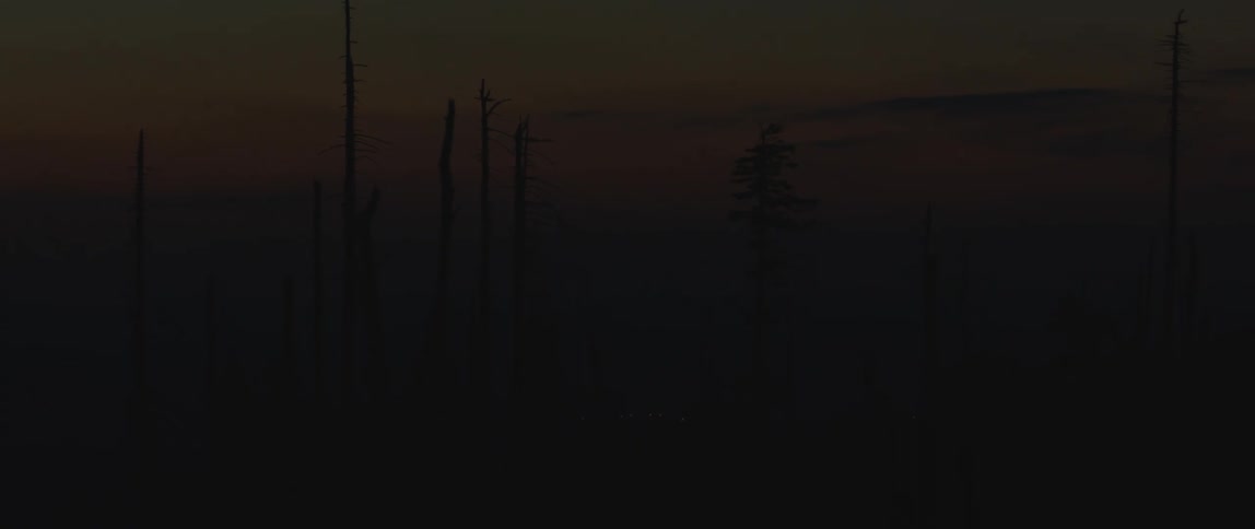 Silhouette of a forest with a reddish sky at the beginning of dawn