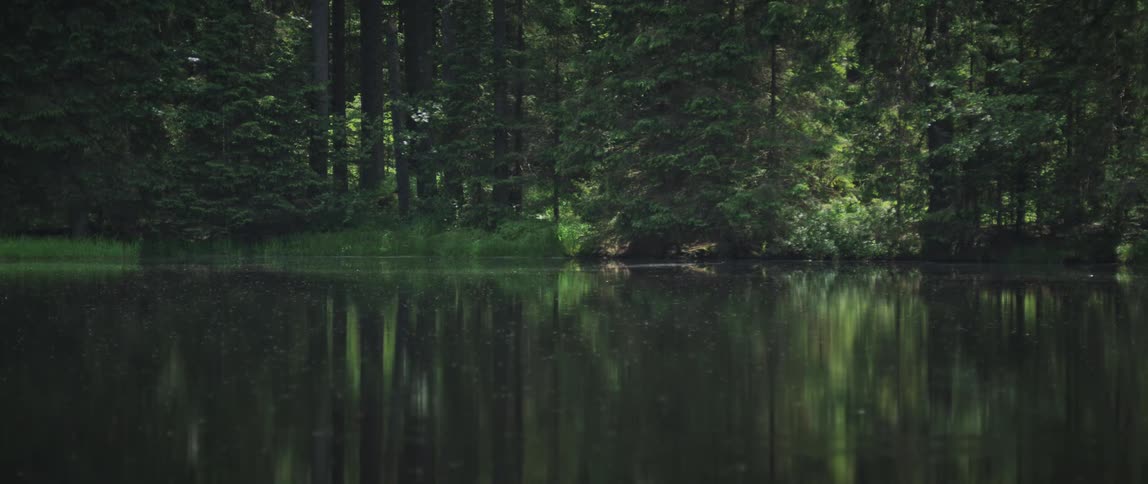 View of a lake amidst a forest with a person running