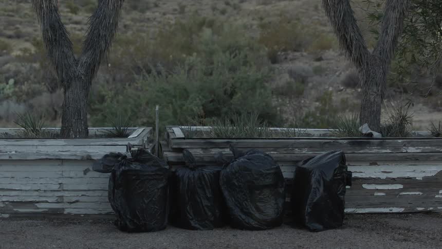 The wind is blowing black trash bags wrapped around objects near plants