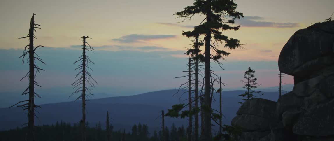 A savanna with mountains during sunset